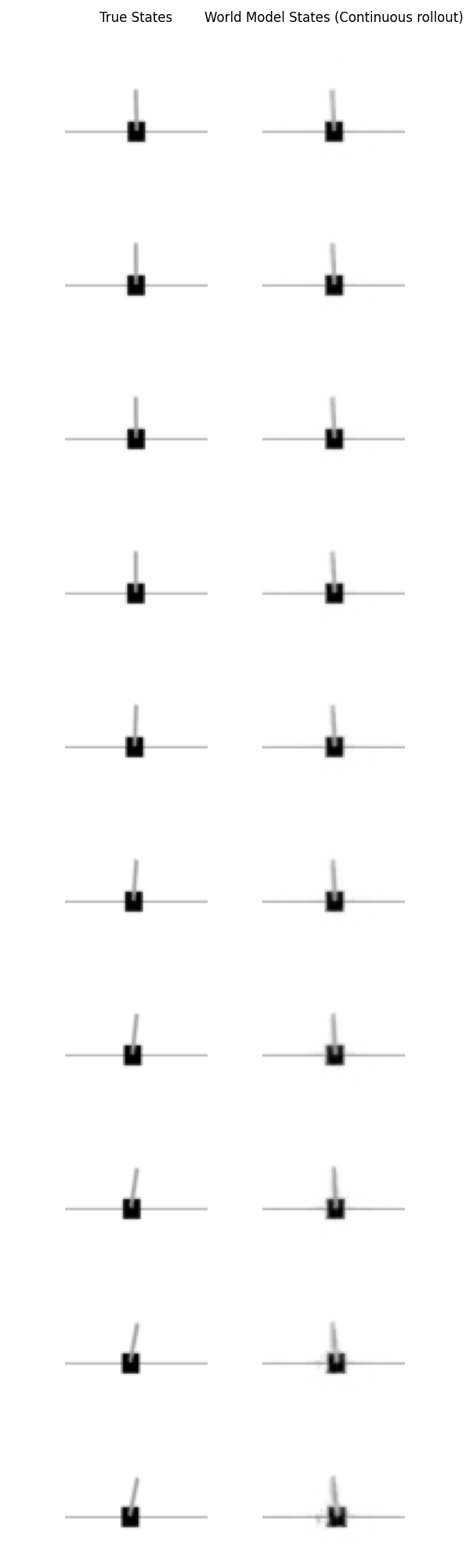 Decoded rollout predictions